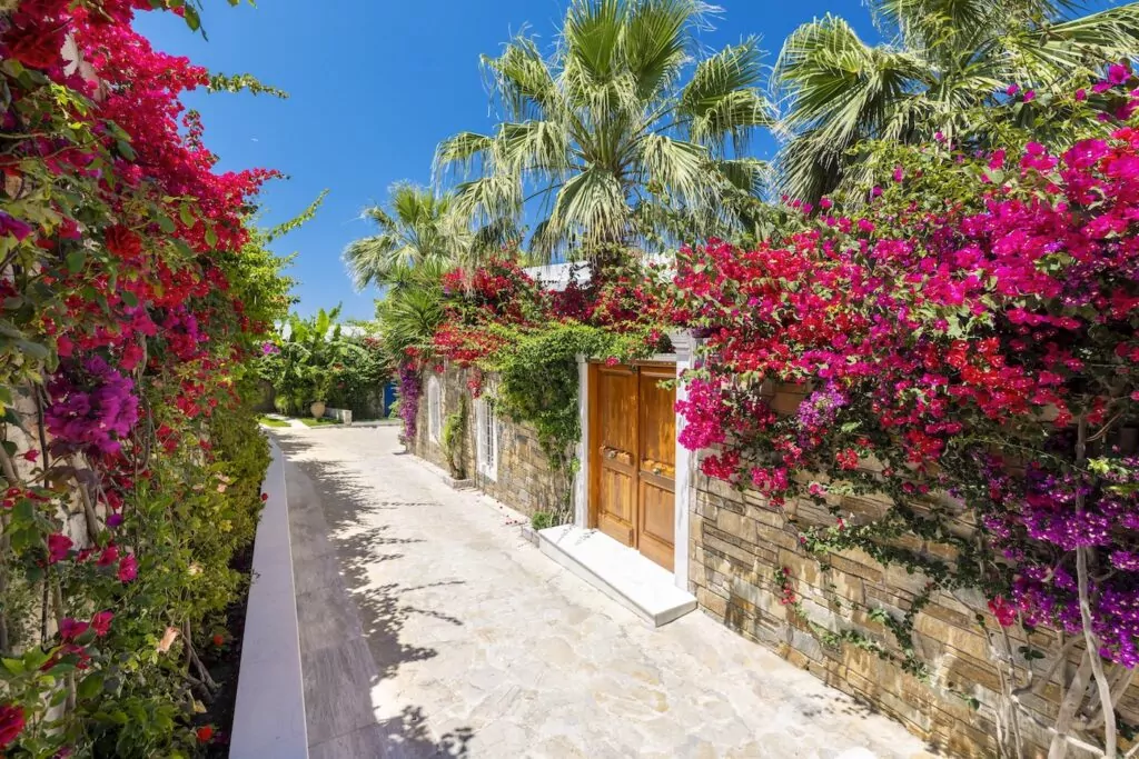 Greece beautiful garden private villas at luxury beach resort Porto Zante Zakynthos Island