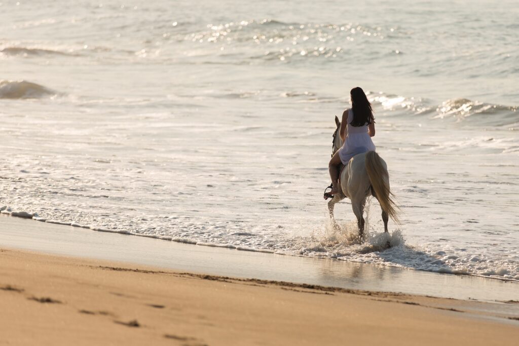 Horse-Riding-Sports-Activities-Famimlies-Beach-1400pixelsMarch207